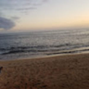 Meet your Posher, Devita